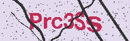 Codice captcha